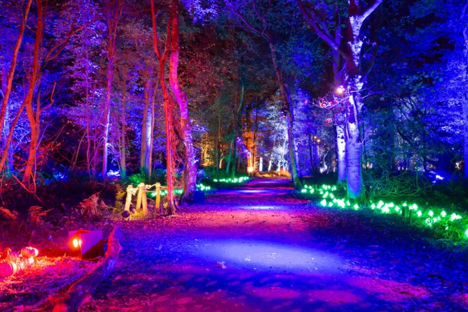 Why Online Event Listings are Important